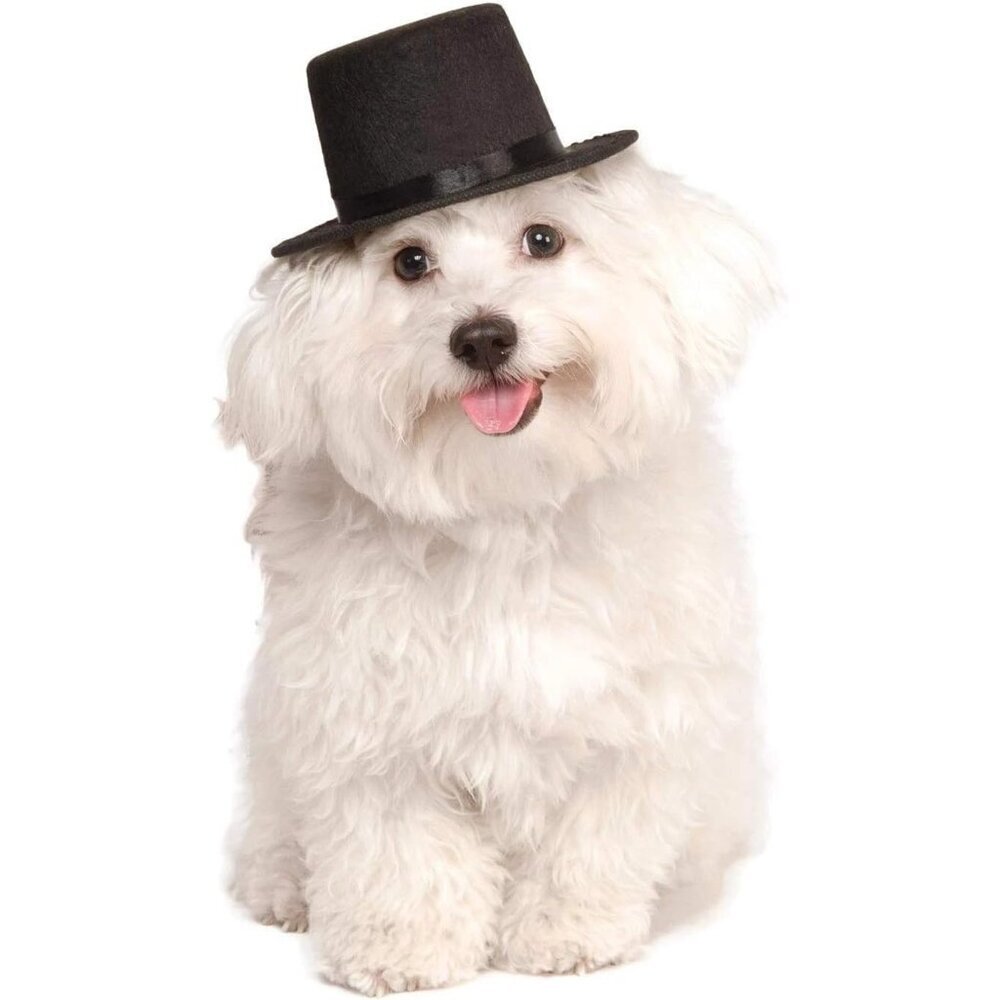 🆕Rubies Top Hat Pet Hat for Dogs or Cats, S/M - Picture 5 of 6